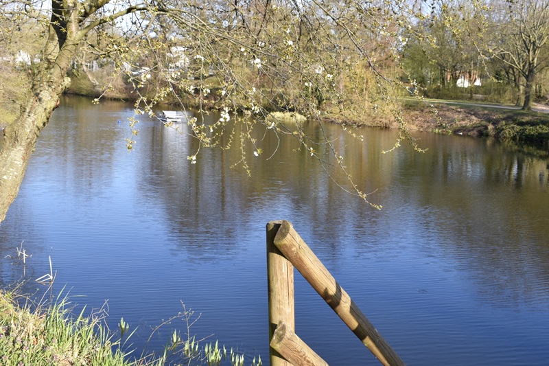 Bürgerpark in Darmstadt