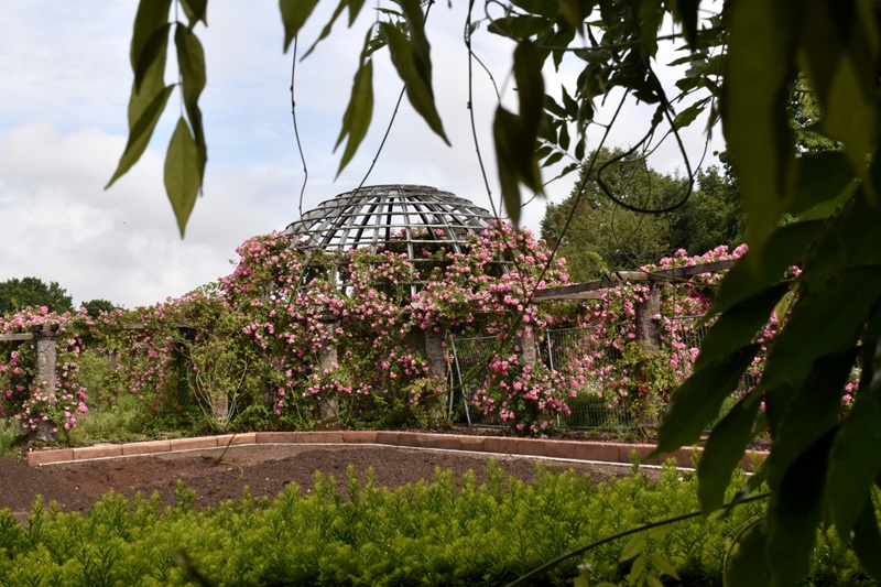 Darmstadt Park Rosenhöhe