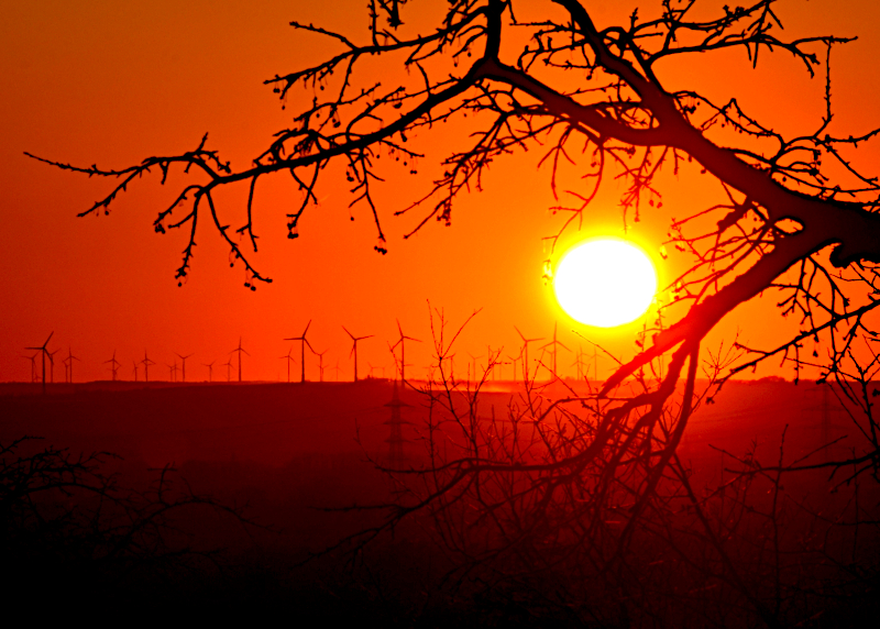 Sonnenuntergang - aufgenommen in den Streuobstwiesen bei Darmstadt-Eberstadt